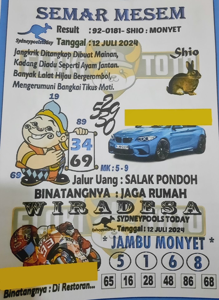 SYAIR SDY VIP